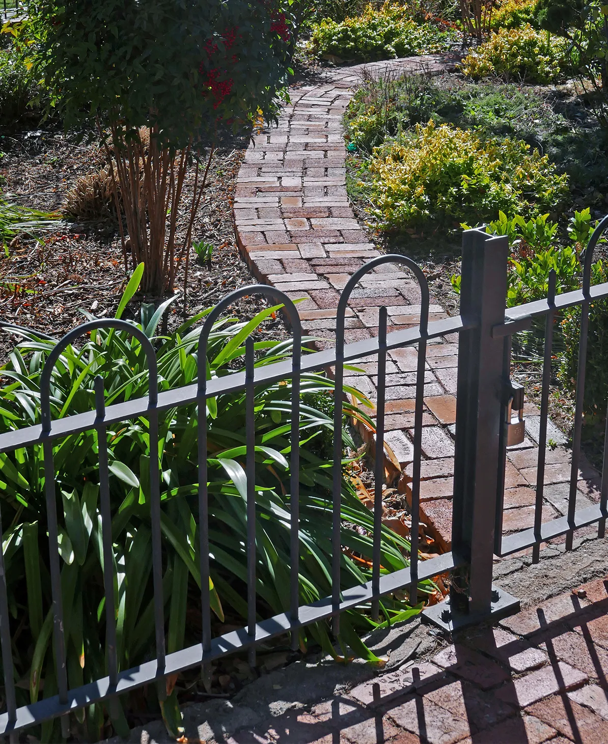 Metallzaun mit Gartentor an einem gepflasterten Gartenweg