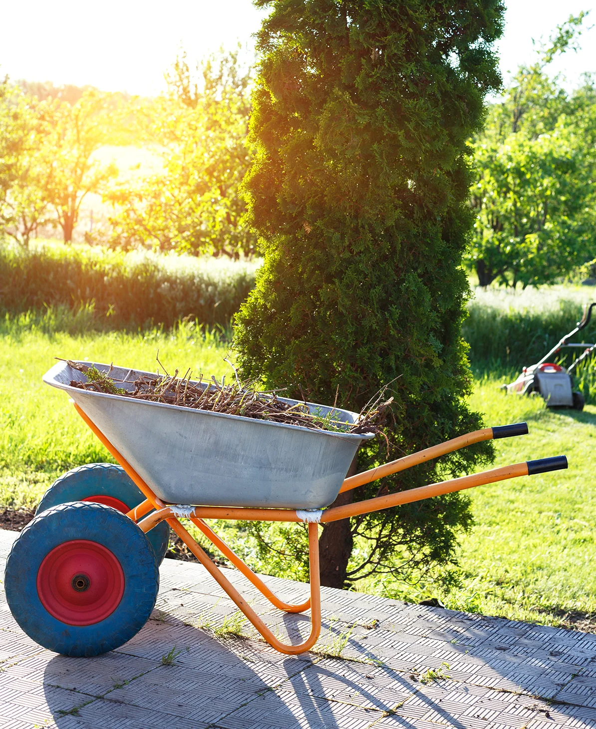 Schubkarre mit Gartenabfall bei der Gartenpflege