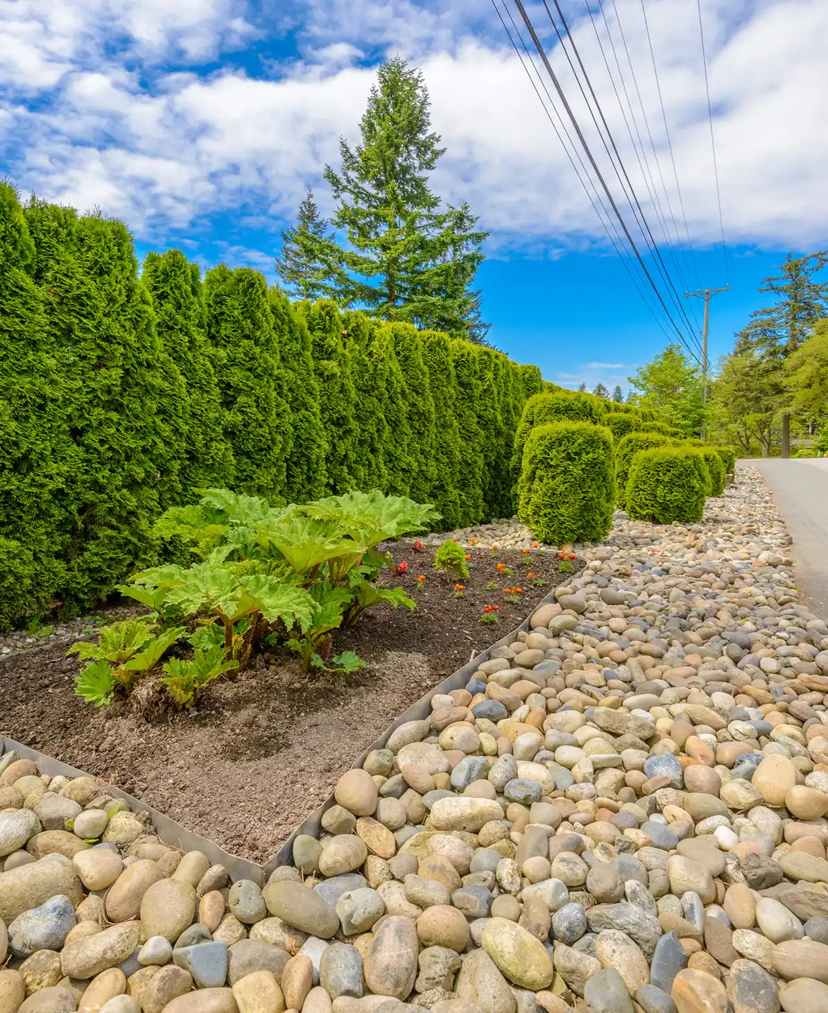Gepflegte Gartenanlage mit Kiesbeet, Hecke und moderner Bepflanzung